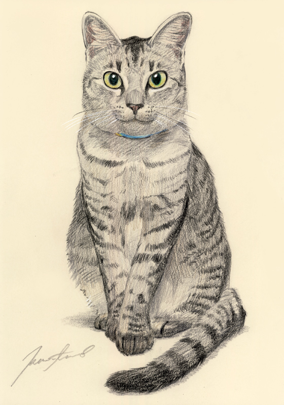 ネコ肖像画11