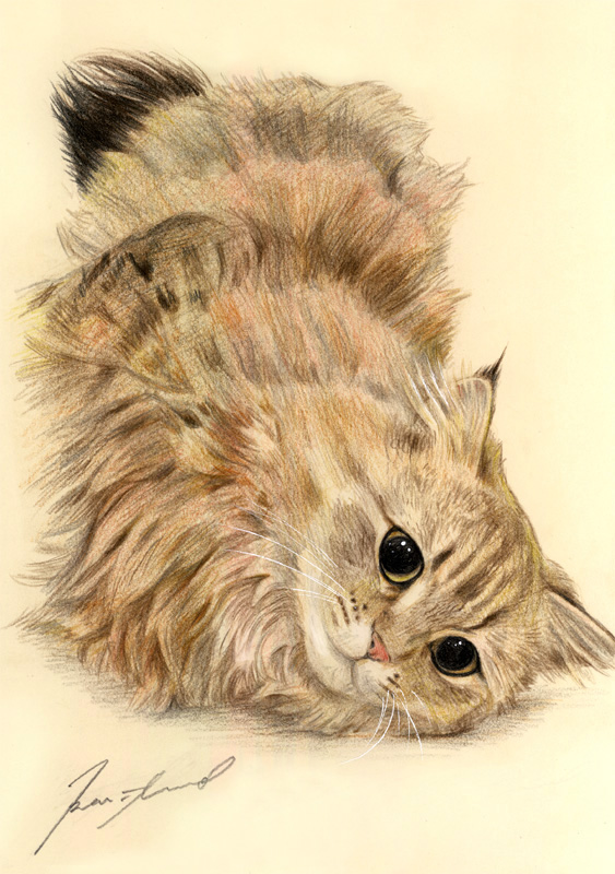 ネコ肖像画12