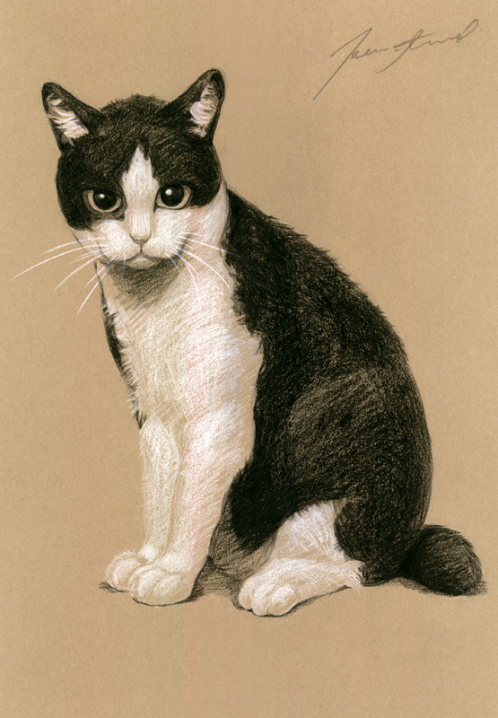 ネコ肖像画13