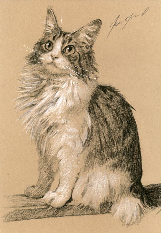 ネコ肖像画16