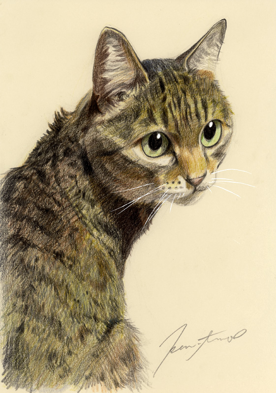 ネコ肖像画9