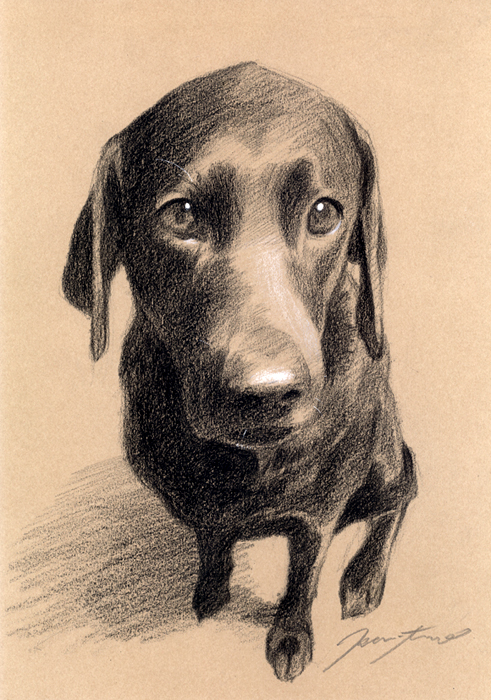 犬肖像画10