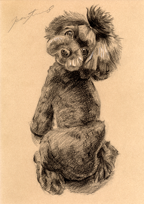 犬肖像画14
