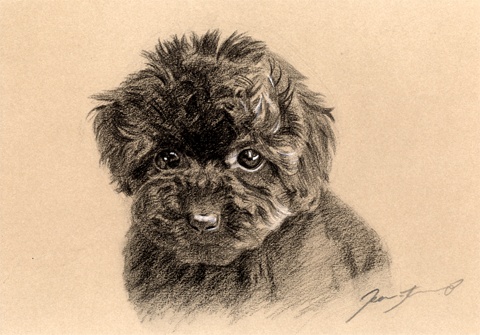 犬肖像画15