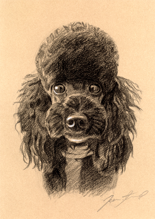 犬肖像画16