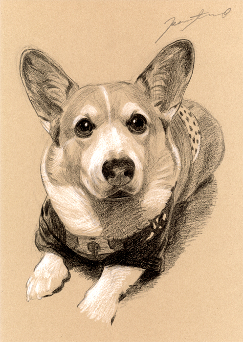 犬肖像画18