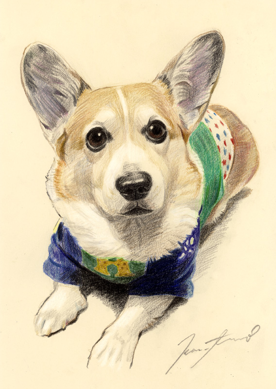 犬肖像画19