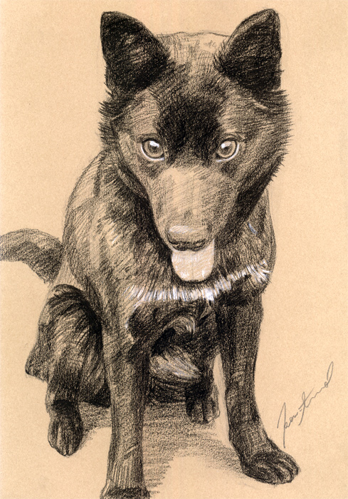 犬肖像画23