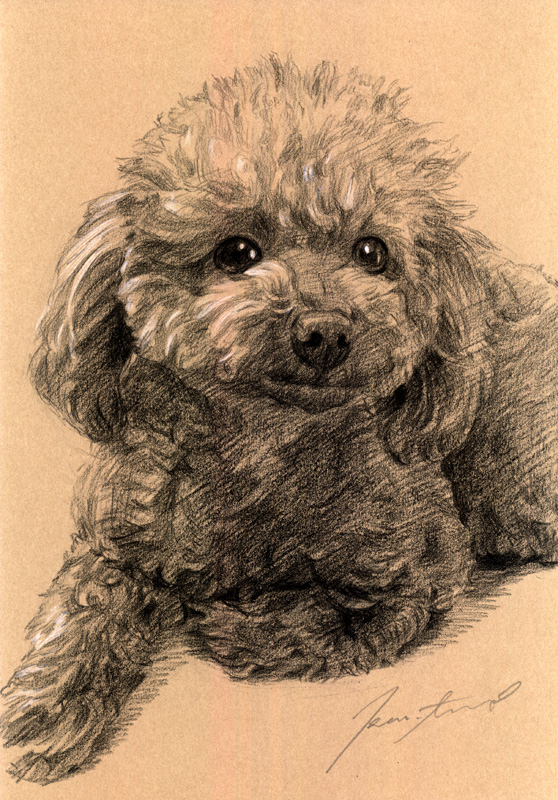 犬肖像画25