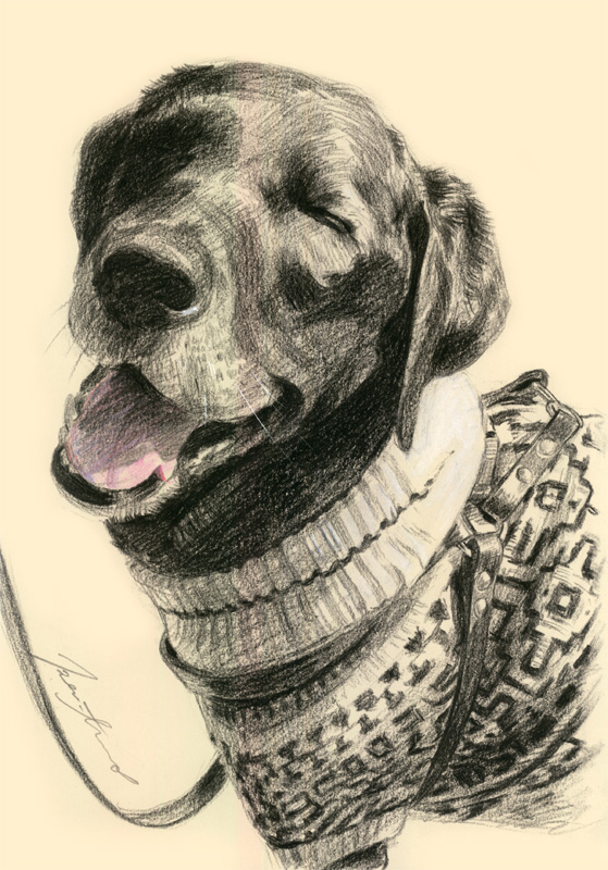 犬肖像画28