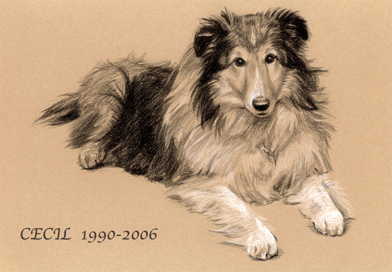 犬肖像画30