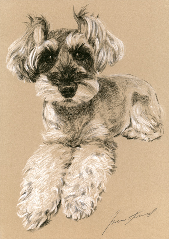 犬肖像画32