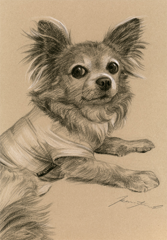 犬肖像画35