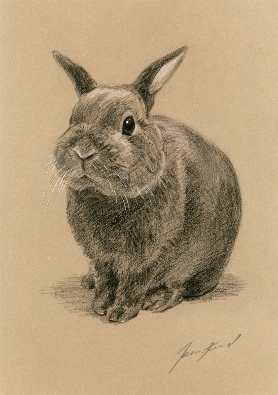 ウサギ肖像画2