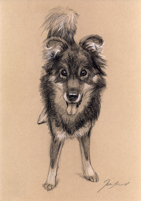 犬肖像画05