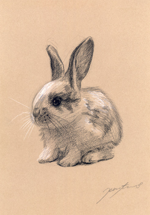 ウサギ肖像画1